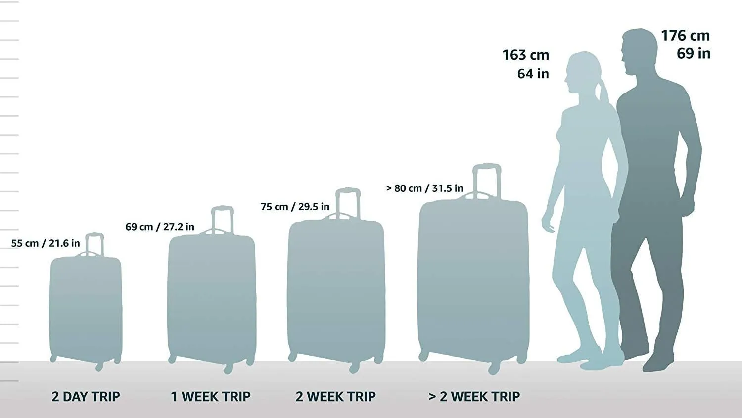 Rockland Pasadena Softside Spinner Wheel Luggage, Black/Gray, Carry-On 20-Inch