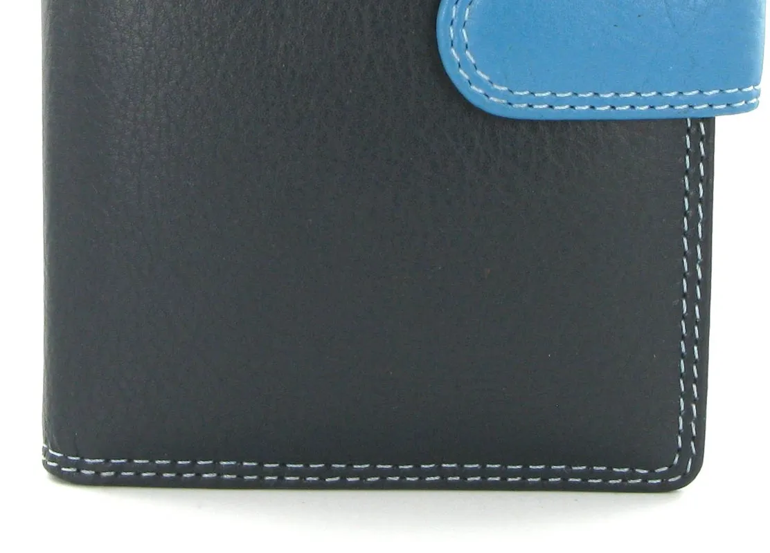Visconti Rainbow Passport Holder RB75 Blue Multi